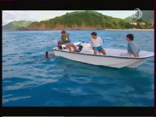 Les Vacances de L'amour