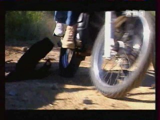 Les Vacances de L'amour