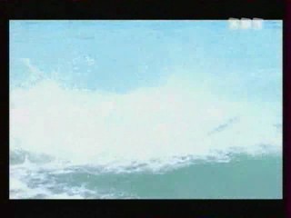 Les Vacances de L'amour