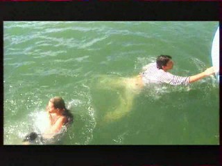 Vacances de l'amour 6