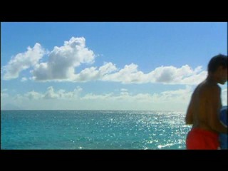 Les Vacances de l'amour