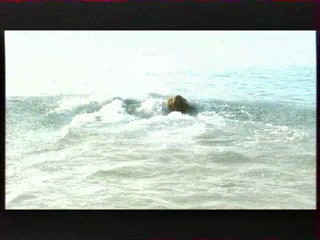 Les Vacances de L'amour