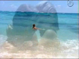 Les Vacances de L'amour