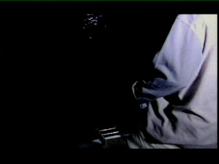 Les Vacances de L'amour