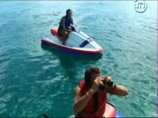 Les Vacances de L'amour