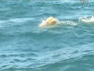 Les Vacances de L'amour