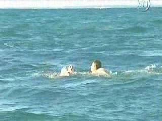 Les Vacances de L'amour