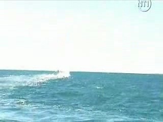 Les Vacances de L'amour