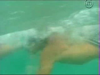 Les Vacances de L'amour