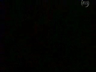 Les Vacances de L'amour