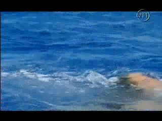 Les Vacances de l'amour