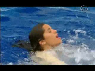 Les Vacances de l'amour