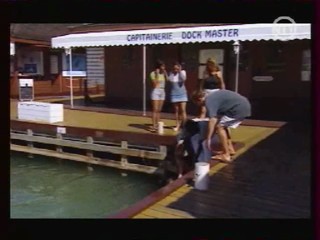 Vacances de l'amour 16