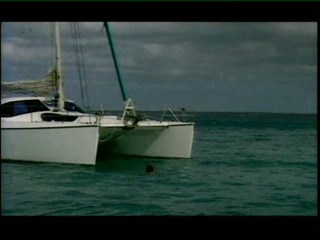 Les Vacances de l'amour