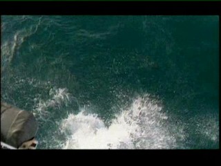 Les Vacances de l'amour