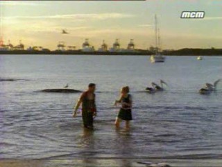 Hartley coeur Ã  vif