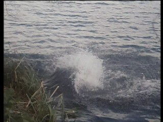 Dick Turpin's Greatest Adventure