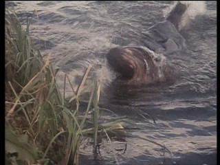 Dick Turpin's Greatest Adventure