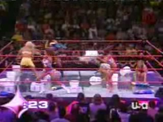 wwe waterfight featuring the WWE Divas