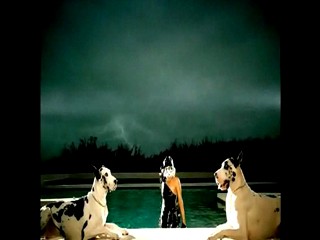 Lady GaGa Poker face