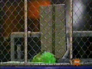 Avril Lavigne -  Gunge Tank