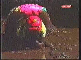 Japan Mud Cup scene - Takeshi Castle