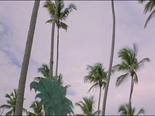 Explosive Brigade, Pirateâ€™s Mission