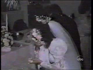 Bride SLAMMED with cake in face