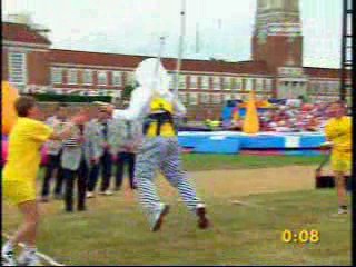 It's a Knockout Pies