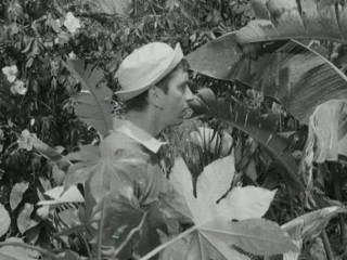 Gilligan's Island (1964)- Voodoo Something to Me (Ep.2)