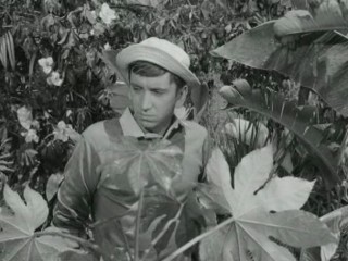 Gilligan's Island (1964)- Voodoo Something to Me (Ep.2)