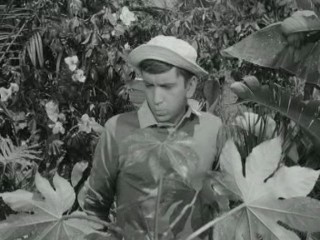 Gilligan's Island (1964)- Voodoo Something to Me (Ep.2)