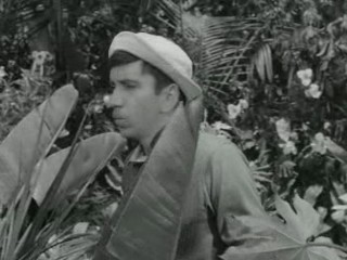 Gilligan's Island (1964)- Voodoo Something to Me (Ep.2)