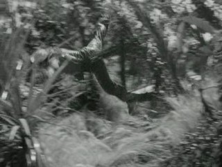 Gilligan's Island (1964)- Voodoo Something to Me (Ep.2)