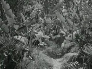 Gilligan's Island (1964)- Voodoo Something to Me (Ep.2)