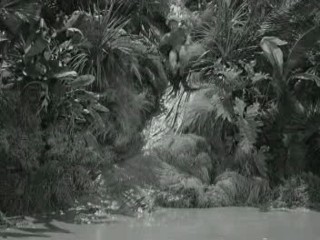 Gilligan's Island (1964)- Voodoo Something to Me (Ep.2)