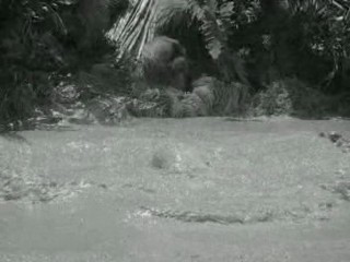 Gilligan's Island (1964)- Voodoo Something to Me (Ep.2)