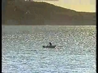 Who Dares Wins,  Home and Away,  Log Rolling