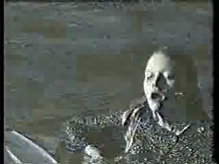 Who Dares Wins,  Home and Away,  Log Rolling