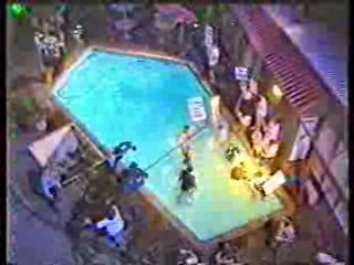 Austrian TV news,  Australian talk show