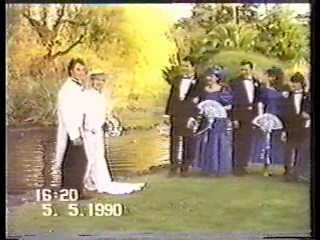 Australia's Funniest Home Videos,  Drumstick commercial,  Carefree commercial,  Australian talkshow