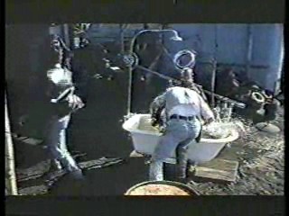 Australia's Funniest Home Videos,  Drumstick commercial,  Carefree commercial,  Australian talkshow