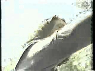 Australian TV drama,  It's A Knockout (Aussie version)