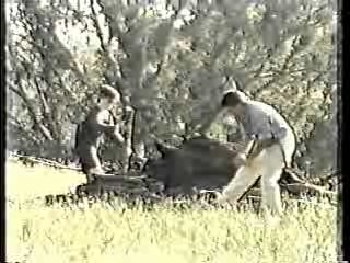 Australian TV drama,  It's A Knockout (Aussie version)