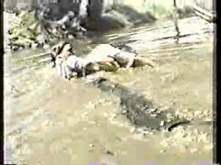 Australian TV drama,  It's A Knockout (Aussie version)