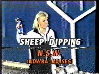 It's A Knockout,  Australian TV drama