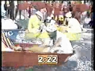 It's A Knockout (Australian version)