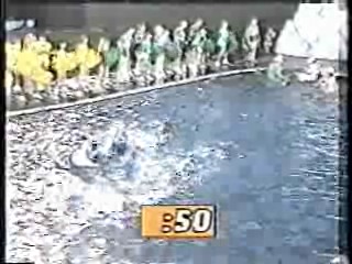 It's A Knockout (Australian version)