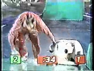 It's A Knockout (Australian version)