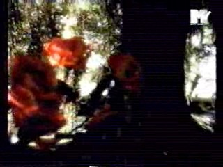 Where the Wild Roses Grow